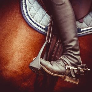 Go for a horseback riding adventure at Double H Stable