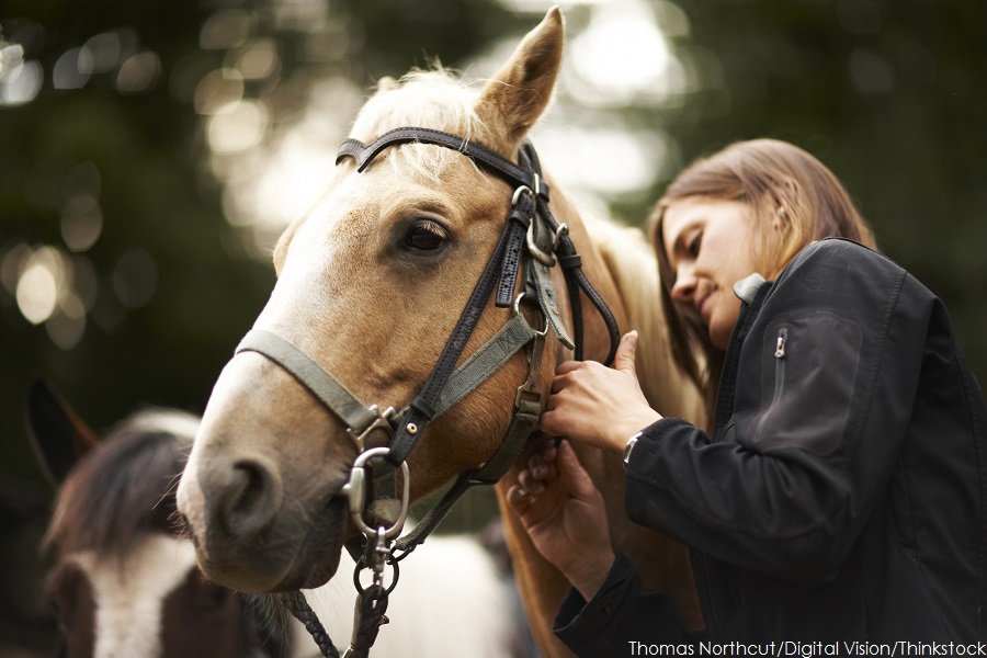 Horseback Riding at Rocking S. Ranch | Woman tending to a tan horse's tack